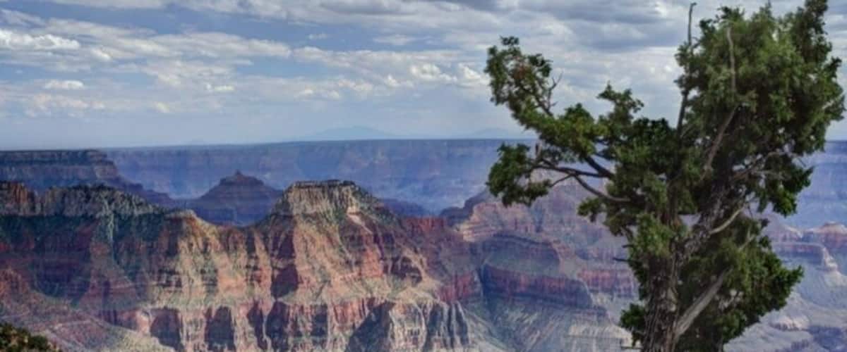 Sunset on the north rim of the Grand Canyon