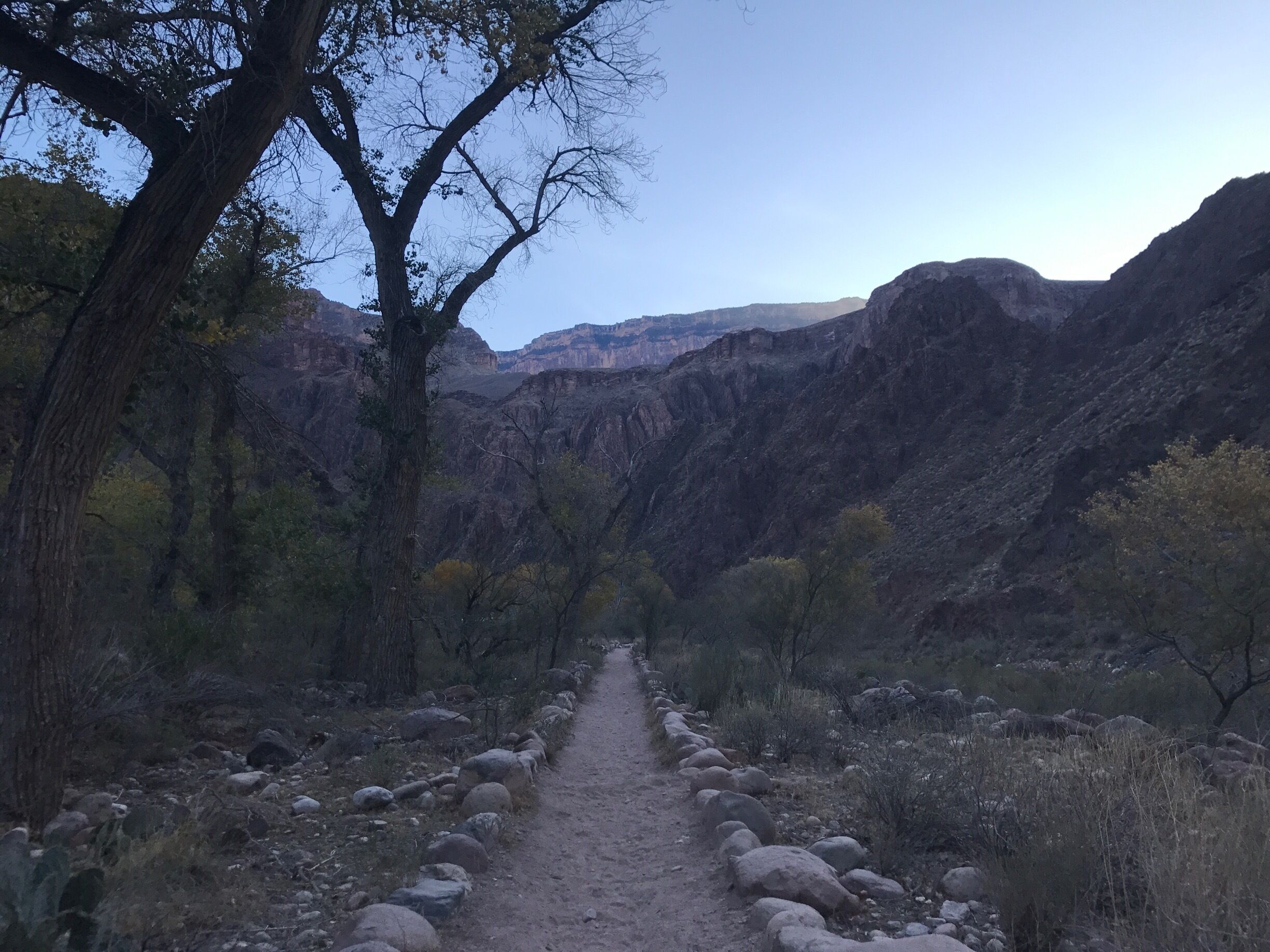 This is a view of the south rim from Phantom Ranch! Such a beautiful and magical place!

#Mountains #nationalpark #trail #sunset #hiking #trees #view #hiking #amazing
