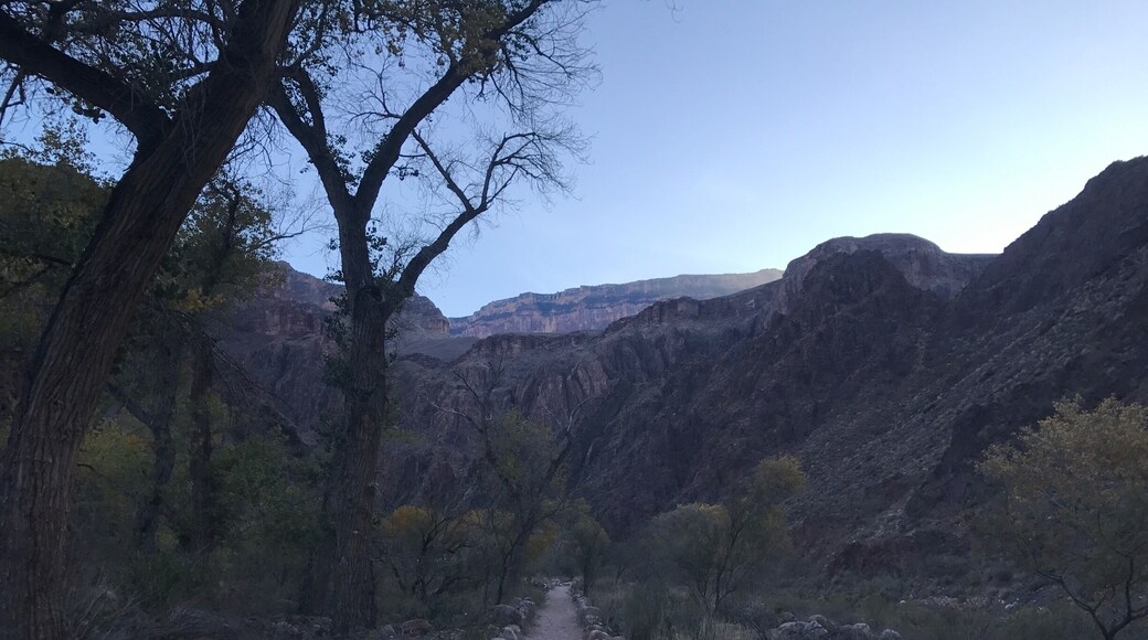 This is a view of the south rim from Phantom Ranch! Such a beautiful and magical place!
#Mountains #nationalpark #trail #sunset #hiking #trees #view #hiking #amazing