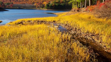 Placid fall scene at Buckingham Reservoir in Glastonbury, Connecticut.