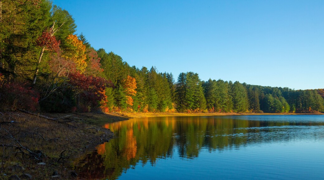 グラストンブリー