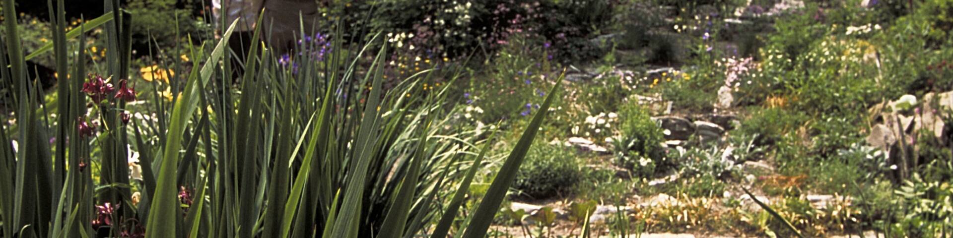 Unionville showing flowers and a garden as well as a small group of people