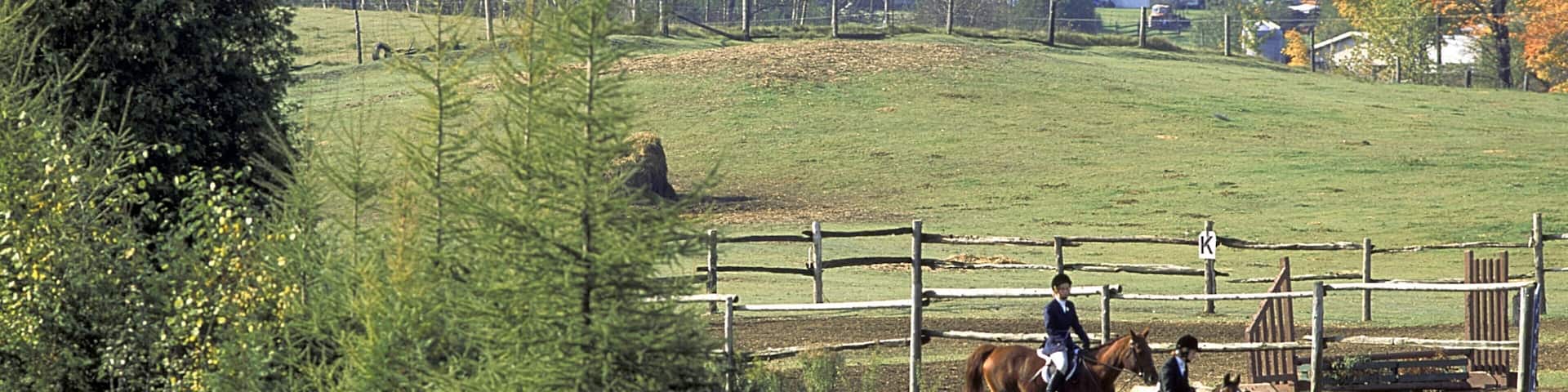 Unionville qui includes ferme, forĂȘts et Ă©quitation