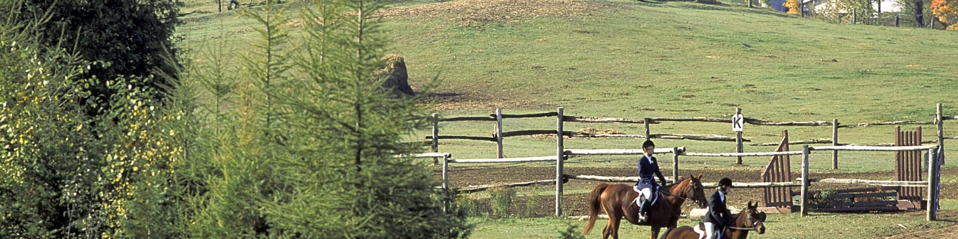 Unionville featuring forest scenes, farmland and horseriding