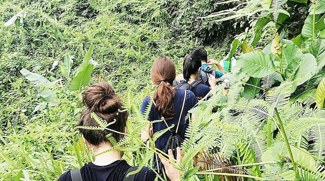 Green is the prime colour of the world, and that from which its loveliness arises;
Good place to explore and exercise, with the most magnificent views.
#LifeAtExpedia