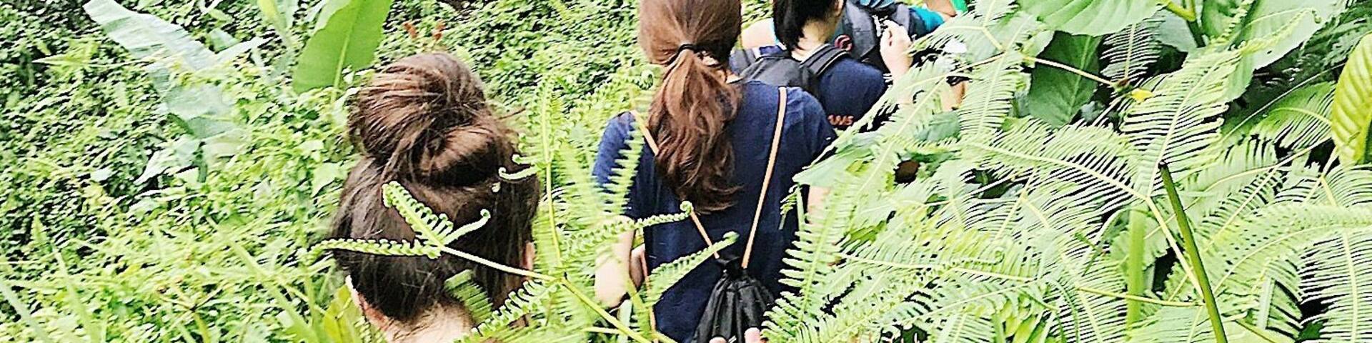 Green is the prime colour of the world, and that from which its loveliness arises;
Good place to explore and exercise, with the most magnificent views.
#LifeAtExpedia