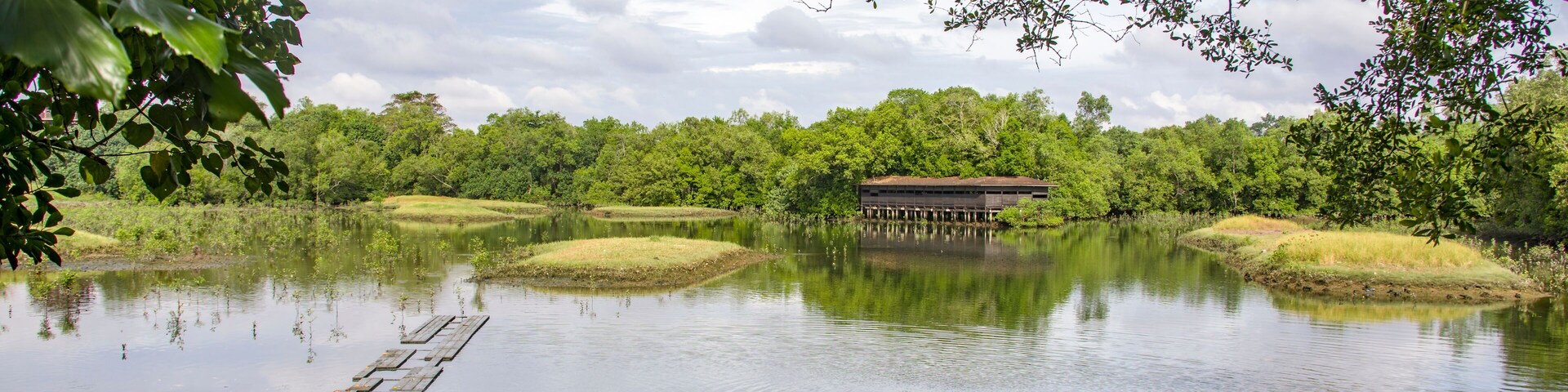 The Mangrove Forest, and bird observation hide in Sungei buloh Wetland Reserve Singapore, the view from one bird observation hide. An important stop-over point for migratory birds.