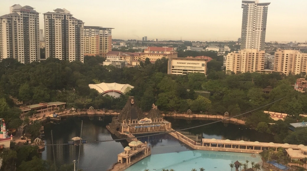 A lagoon in the middle of skyscrapers.
#urbanjungle