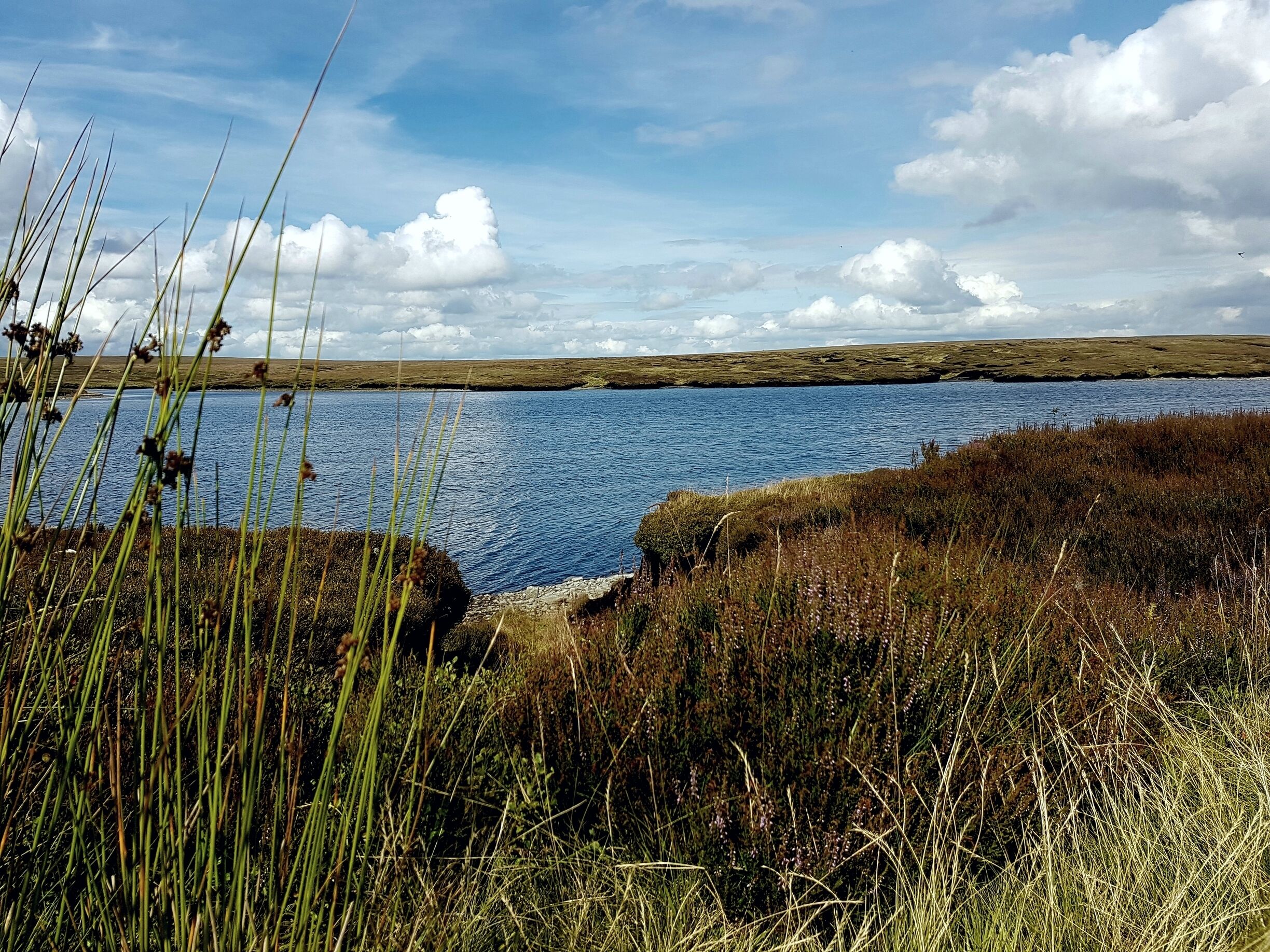A lake surrounded by grassy terrain and a cloudy sky.