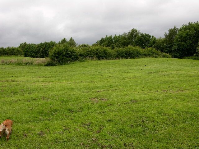 Grass near Parkers Lodges There is a very nice field and footpath next to the lodges marked on the map. A thick hawthorn hedge obscures the view of the water. The mill buildings and chimney marked on the map have been demolished.