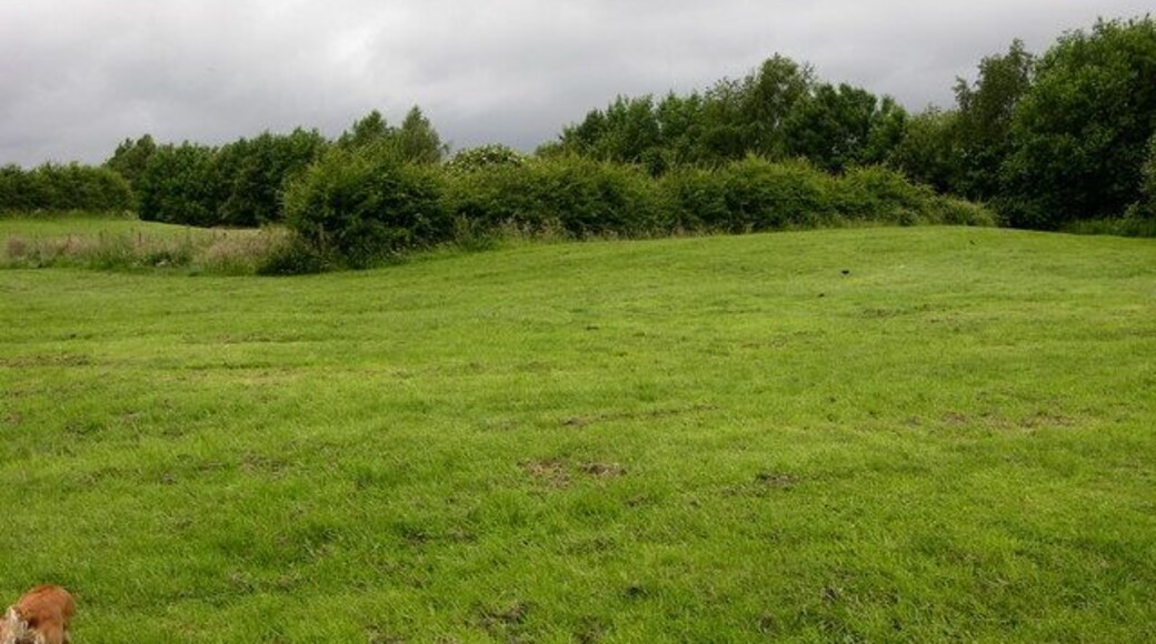 Grass near Parkers Lodges There is a very nice field and footpath next to the lodges marked on the map. A thick hawthorn hedge obscures the view of the water. The mill buildings and chimney marked on the map have been demolished.