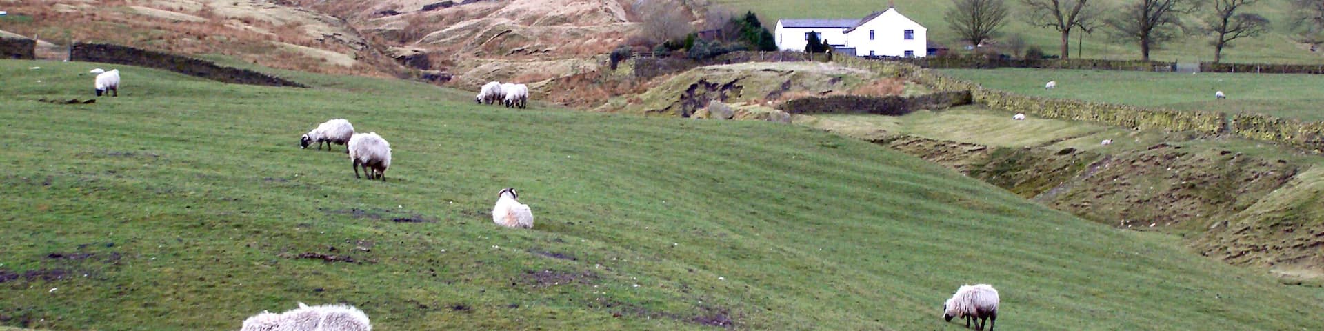 Scout Barns Farm View towards Whittle Hill from Scout Barns