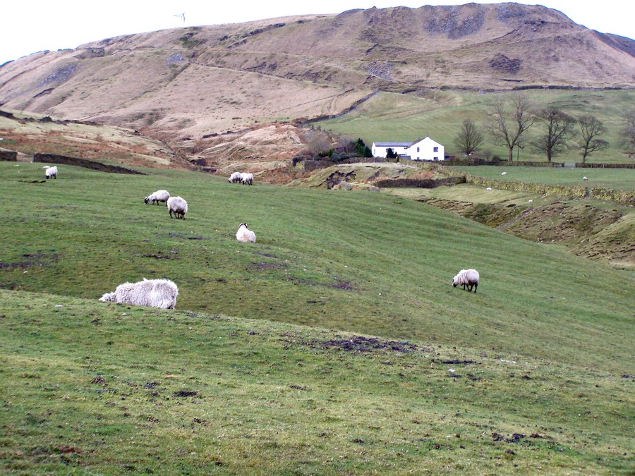 Scout Barns Farm View towards Whittle Hill from Scout Barns
