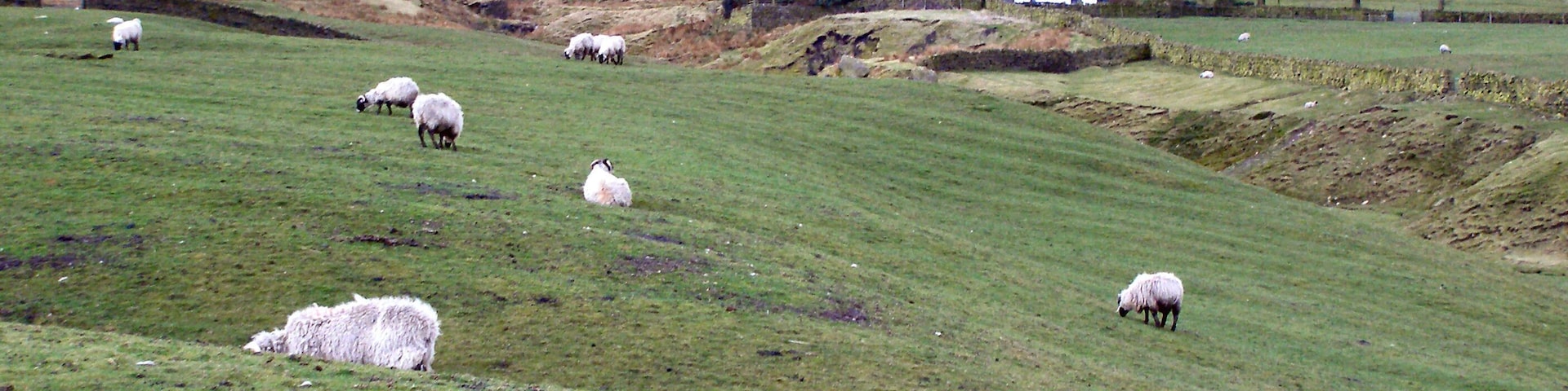 Scout Barns Farm View towards Whittle Hill from Scout Barns
