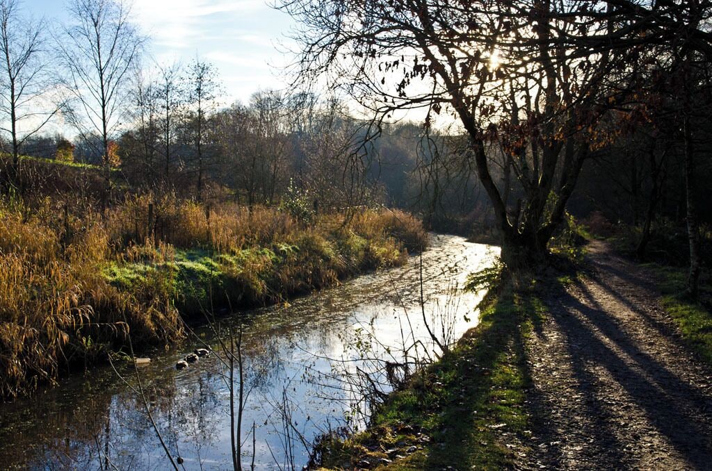 Mill Feeder Stream, Burrs Country Park