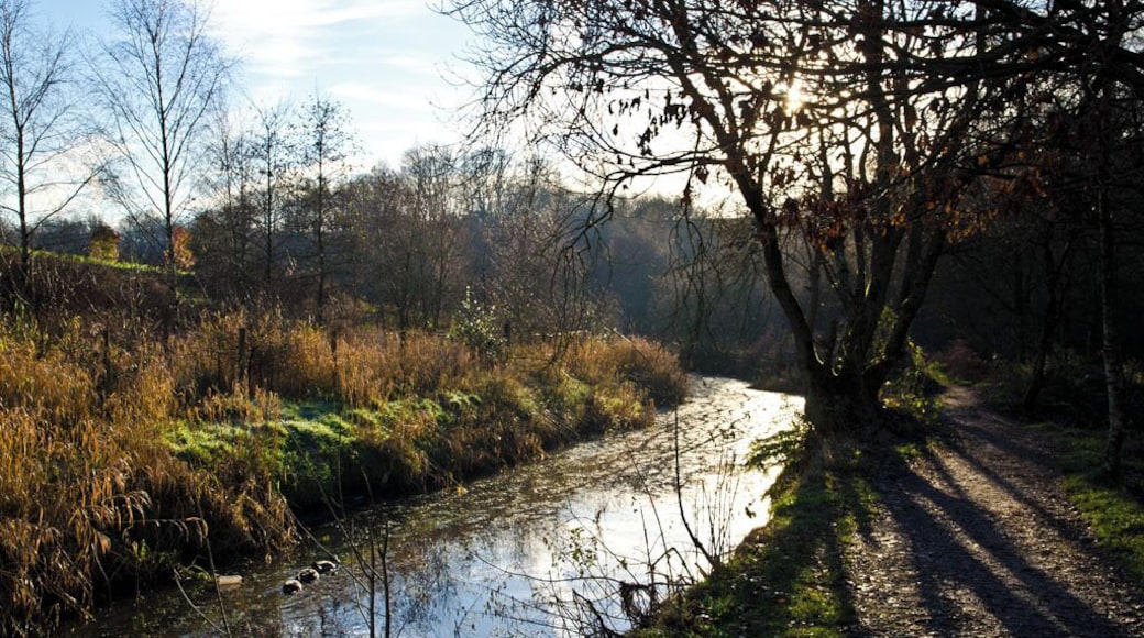 Mill Feeder Stream, Burrs Country Park