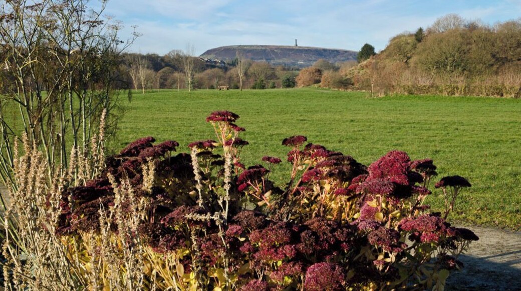 Peel Tower from Burrs Country Park