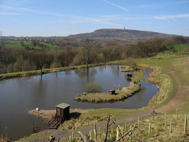 Water Fowl Lake Next to the Irwell Sculpture Trail http://www.irwellsculpturetrail.co.uk/trail.asp footpath, just south of Summerseat, is this small well maintained lake which has a large variety of ducks and geese. The monument on the horizon is 444207