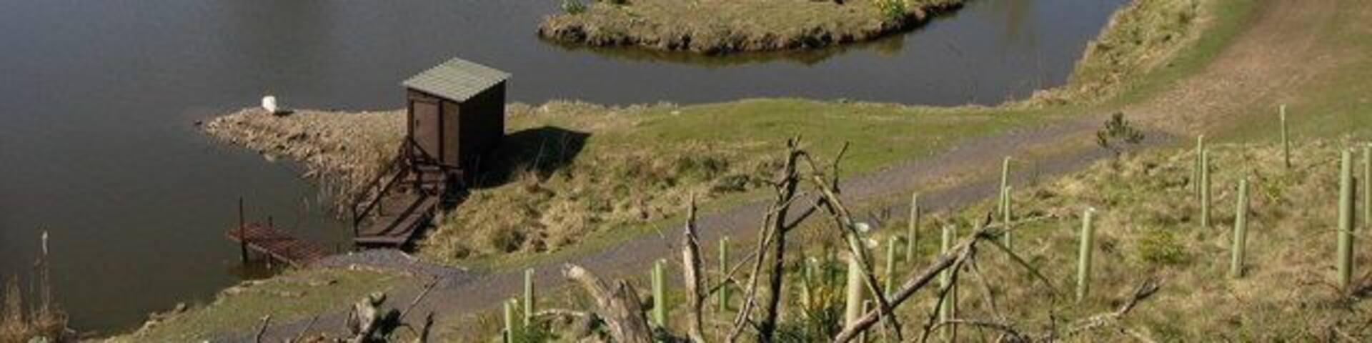 Water Fowl Lake Next to the Irwell Sculpture Trail http://www.irwellsculpturetrail.co.uk/trail.asp footpath, just south of Summerseat, is this small well maintained lake which has a large variety of ducks and geese. The monument on the horizon is 444207