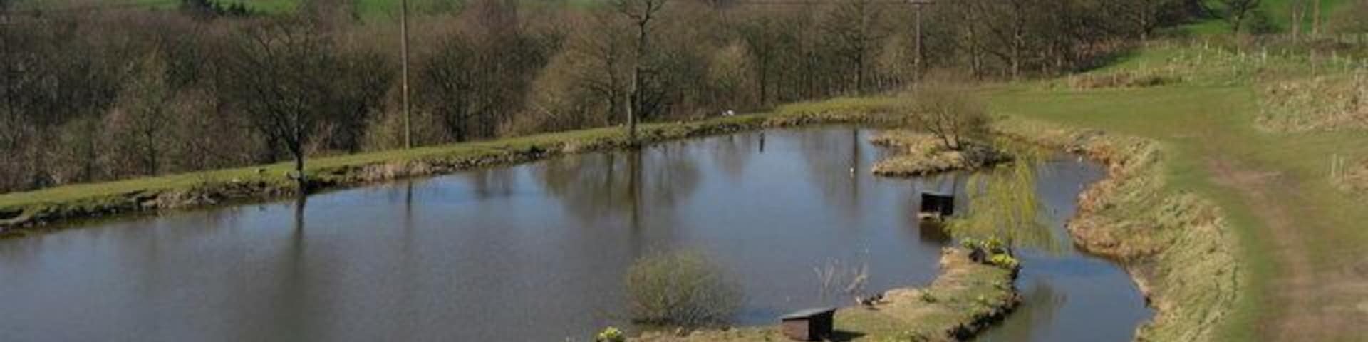Water Fowl Lake Next to the Irwell Sculpture Trail http://www.irwellsculpturetrail.co.uk/trail.asp footpath, just south of Summerseat, is this small well maintained lake which has a large variety of ducks and geese. The monument on the horizon is 444207