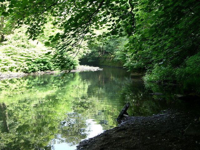 Un río tranquilo rodeado de densa vegetación verde.