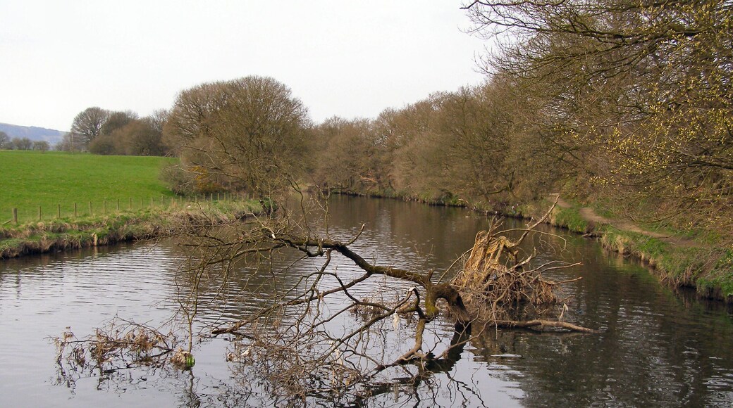 River Irwell Upstream from the weir.