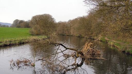 River Irwell Upstream from the weir.