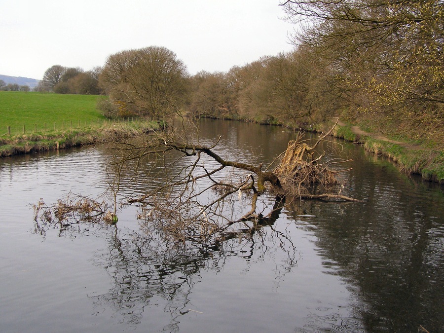 River Irwell Upstream from the weir.