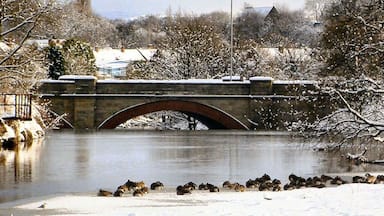 Uma ponte de pedra sobre um rio congelado, com patos ao primeiro plano.