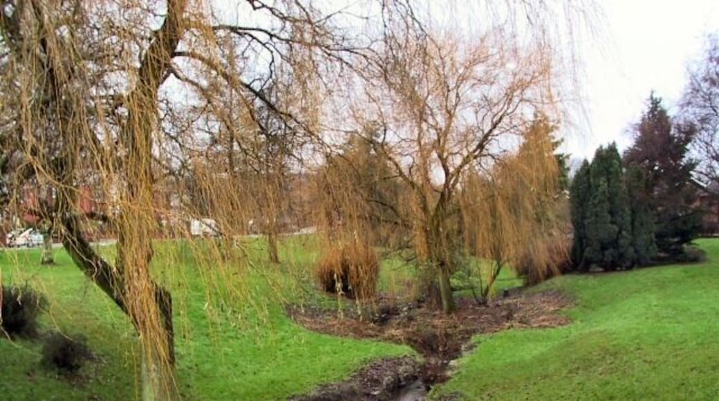 Weeping Willows at Ainsworth. This brook meanders from north to south, disappearing underground again at this point, to re-appear lower down the B6292 towards Radcliffe.