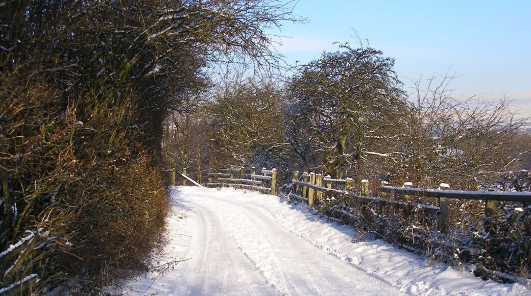 Hinds Lane