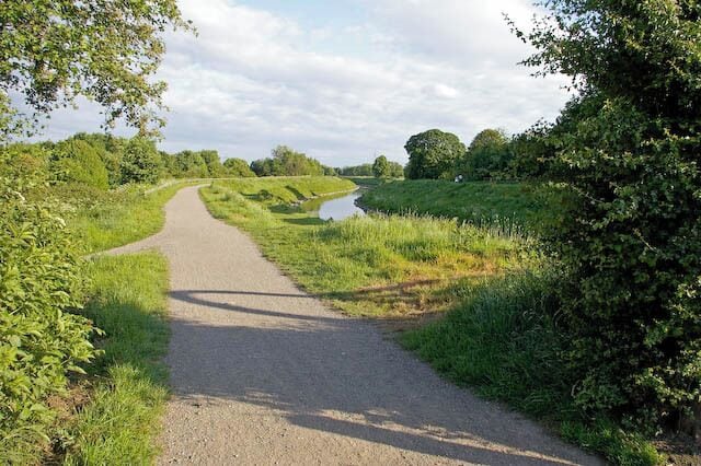 A gravel path winding through a grassy area with trees and a body of water in the distance.
