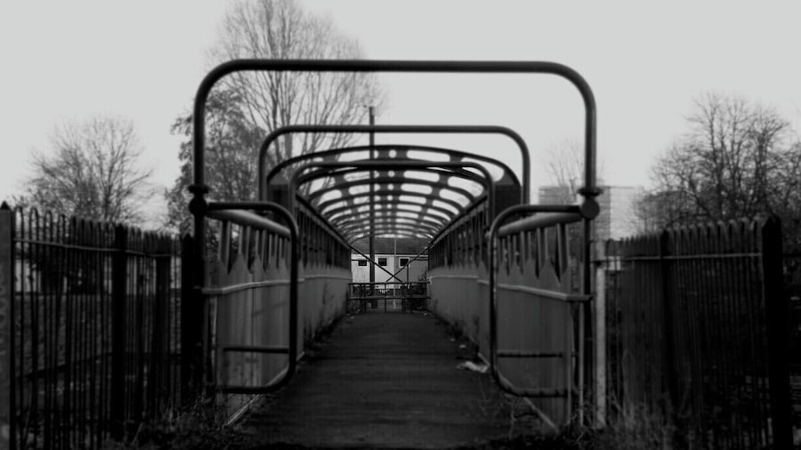 A bridge near my uni town of Salford. Taken whilst making a mocumentary about the wildlife of the area.
