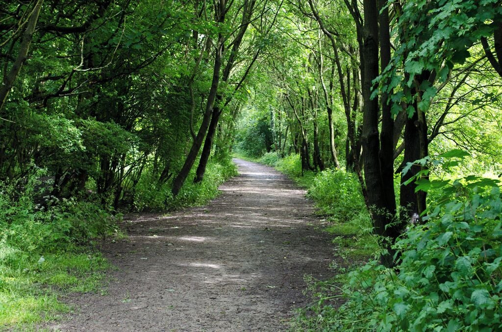 Blackleach Country Park