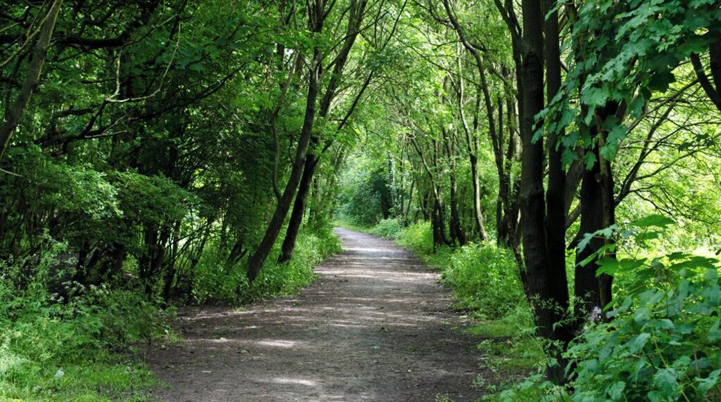 Blackleach Country Park