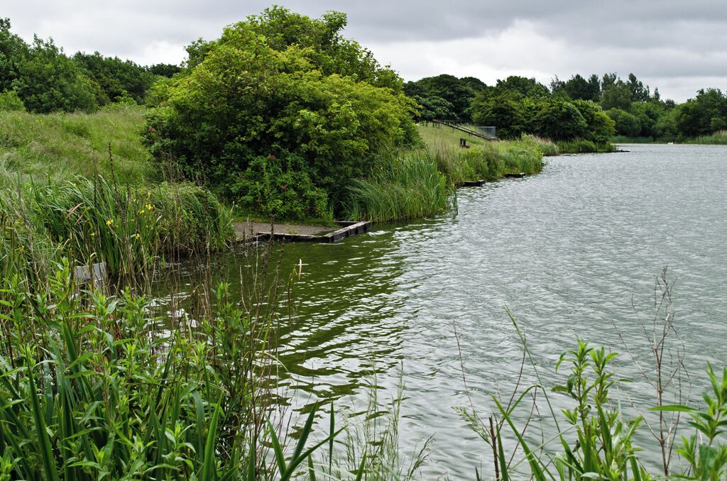 Blackleach Country Park