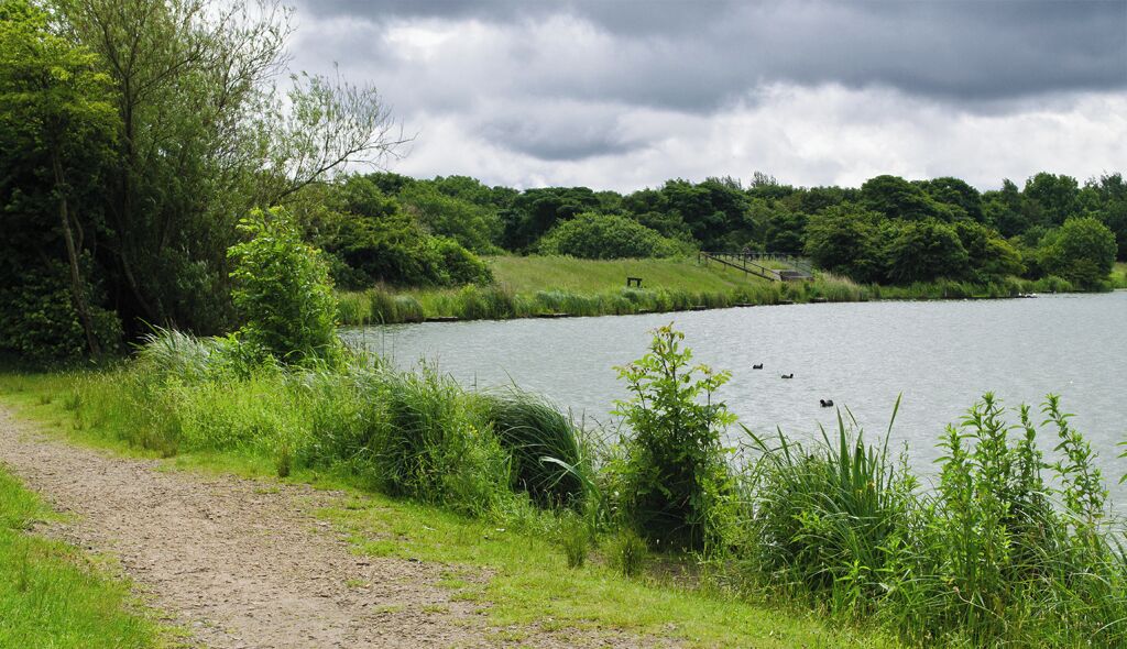Blackleach Country Park