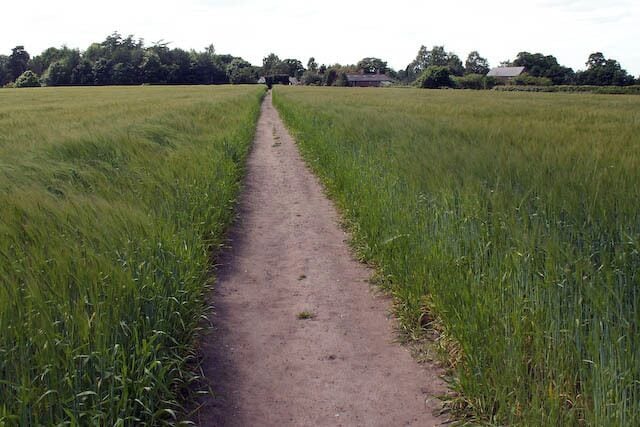 Footpath between arable field, near Dunham Town f