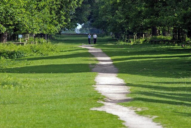 Avenue through Dunham Park