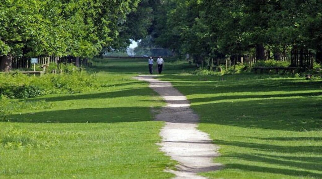 Avenue through Dunham Park
