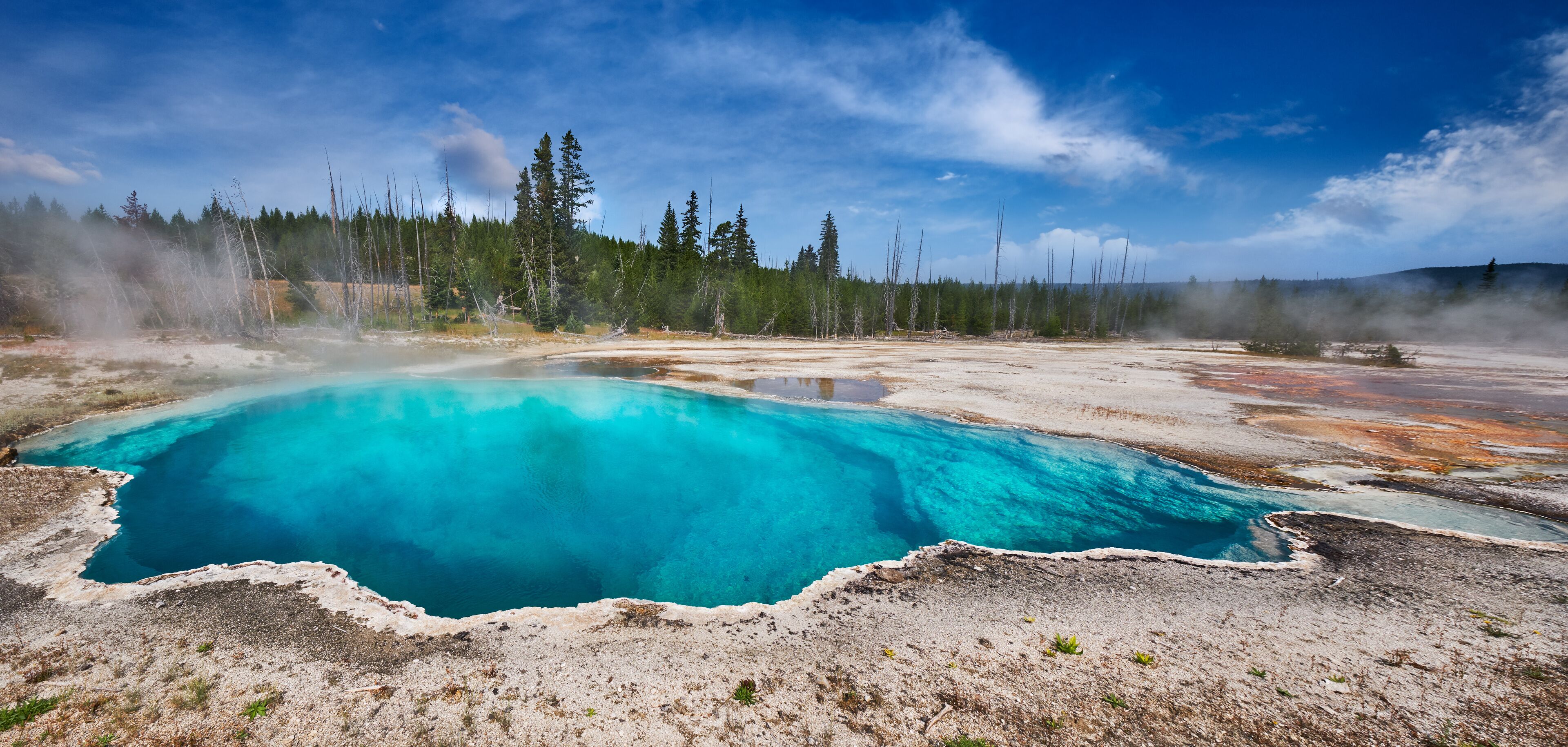 A geothermal hot spring with turquoise water surrounded by forest and geysers.