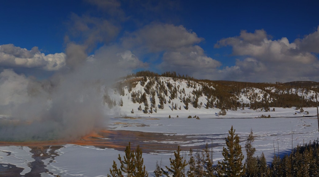 Panorama of Grand Prismatic Hot Springs
