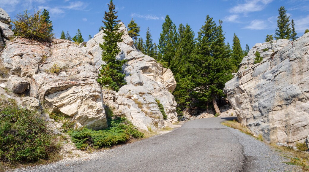 The Hoodoos, or Silver Gate at Yellowstone National Park