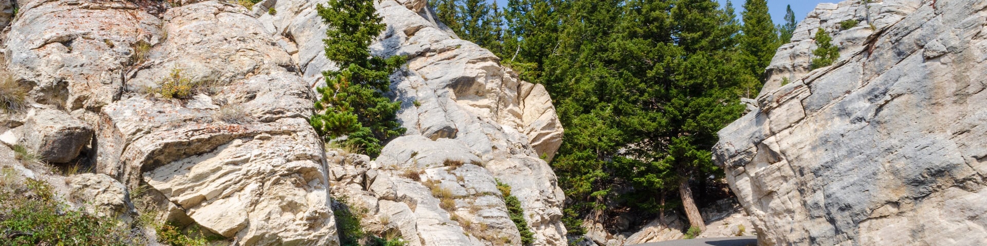 Une route Ă©troite bordĂ©e de falaises rocheuses et dâĂ©pais conifĂšres.