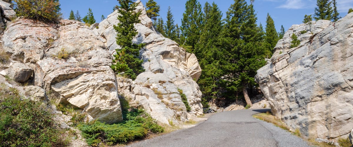 A narrow road flanked by rocky cliffs and dense evergreen trees.