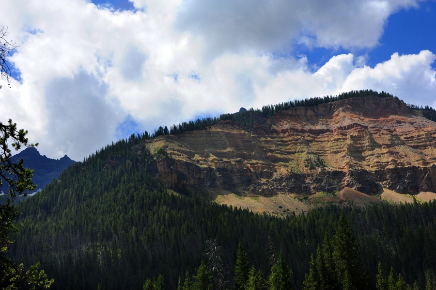 Silver Gate View