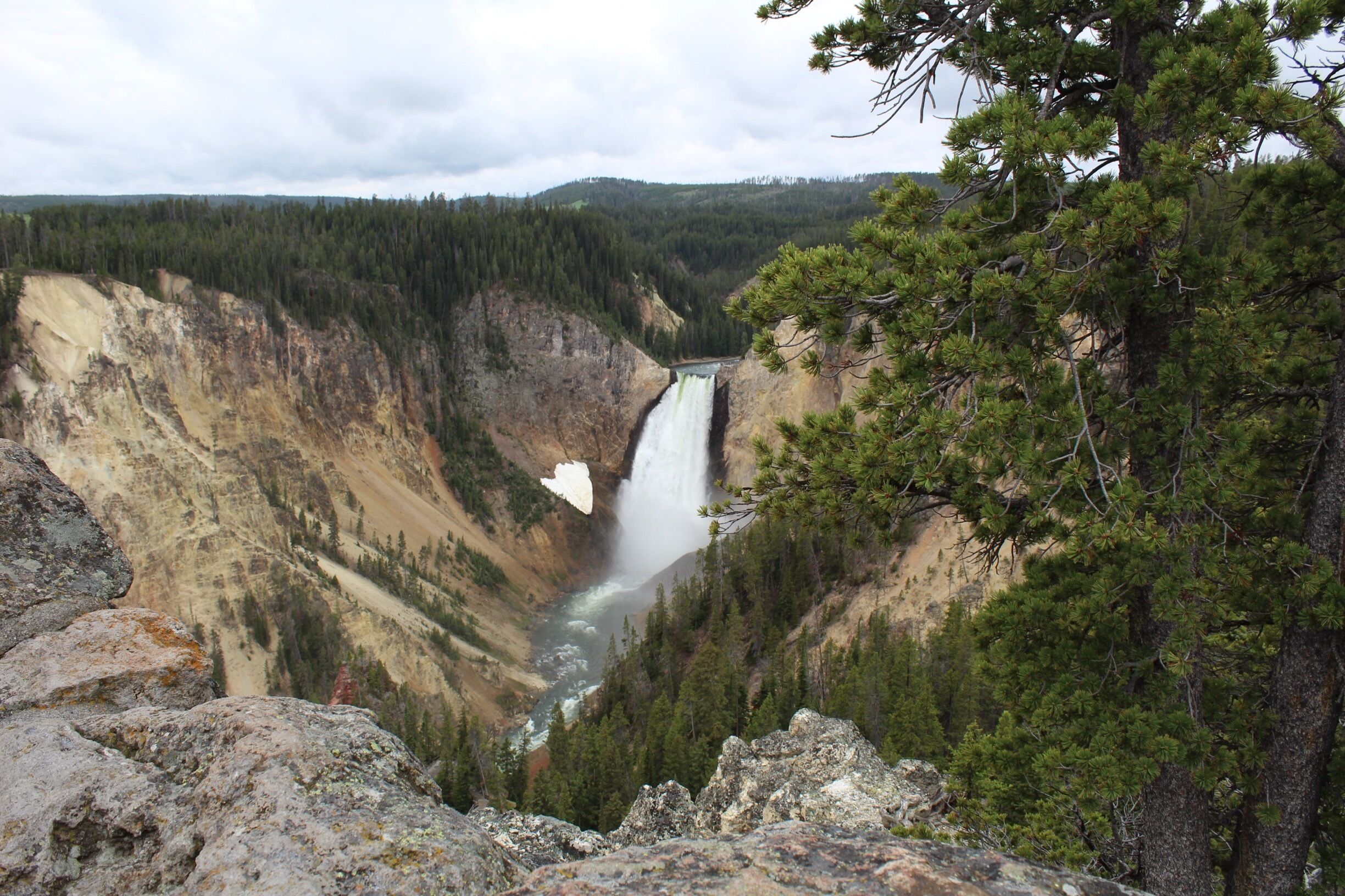 This view was taken from the North View. Loved resting on benches and listening to the roar of Lower Falls.