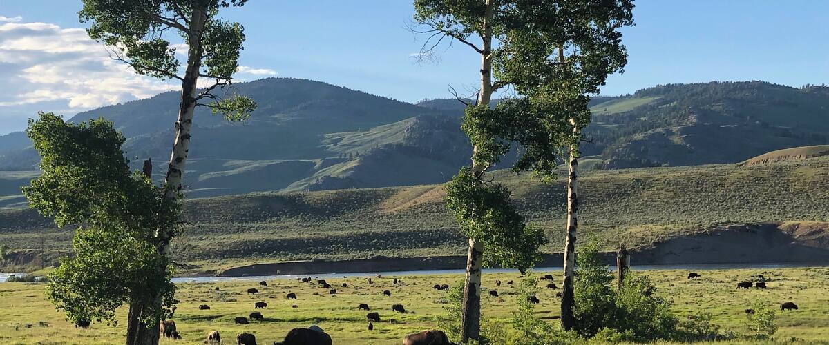 #Nature #NaturePhotoContest