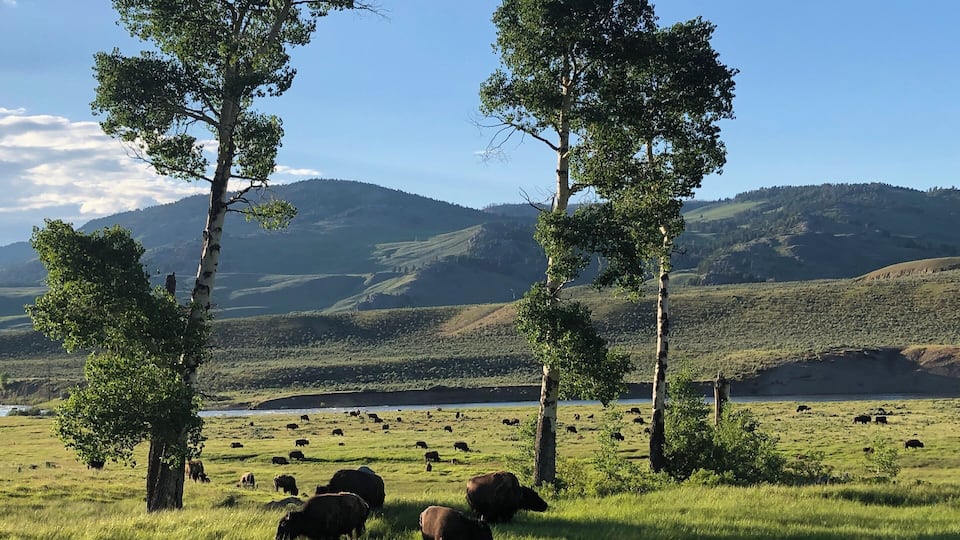 #Nature #NaturePhotoContest