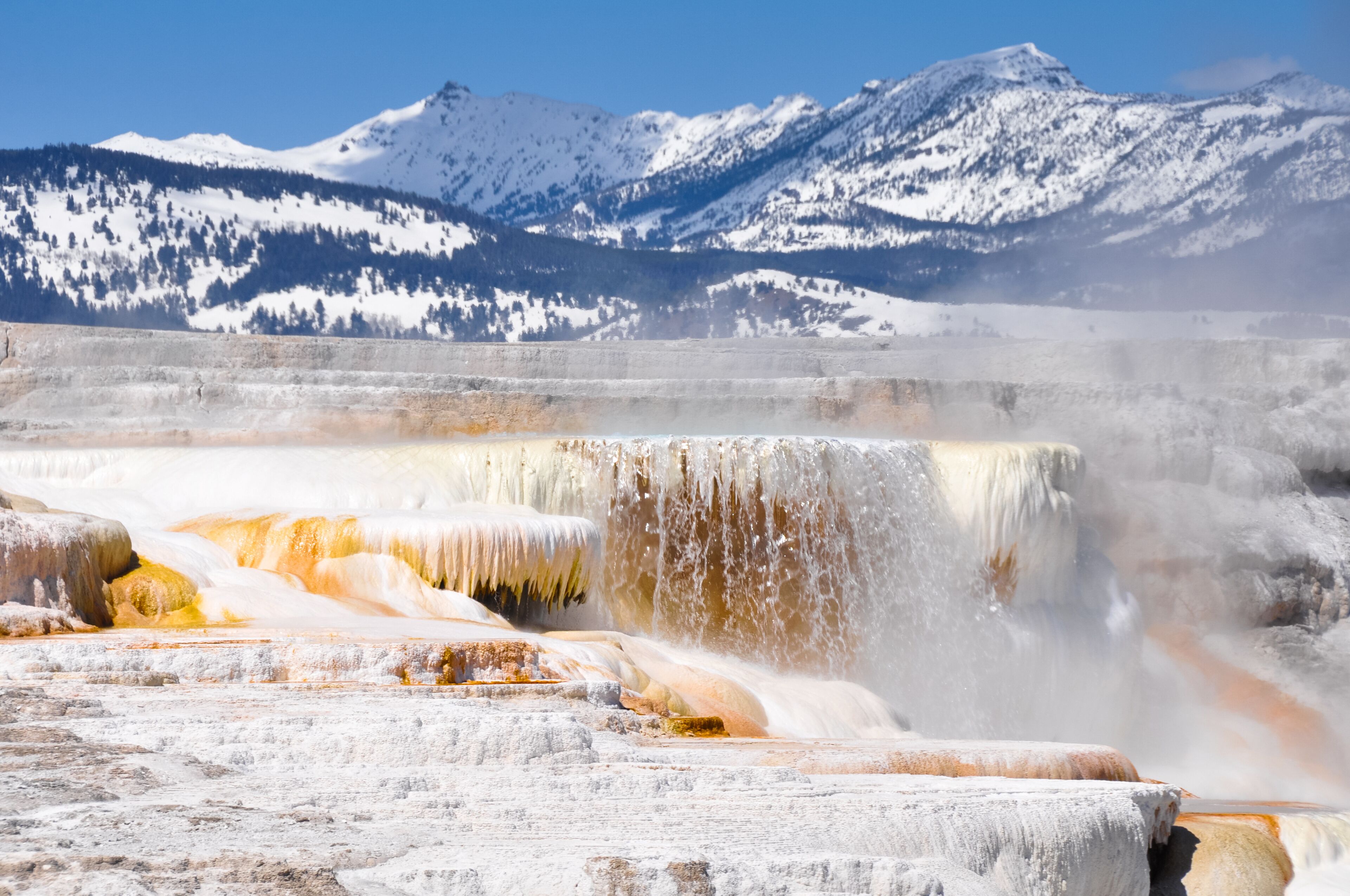 Mammoth hot springs, Yellowstone national park (USA)